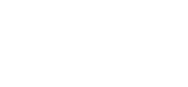 connector_kentekencheck