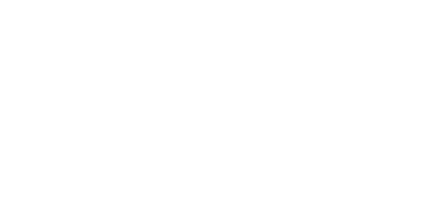 connector_lightspeed